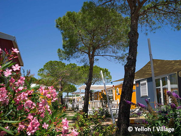 les_petits_camarguais Yelloh Village